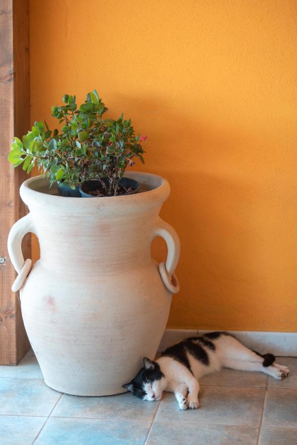 Cuaddus E Tellas Nuragus Luaran gambar